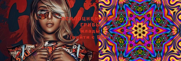 прущий лед Белокуриха