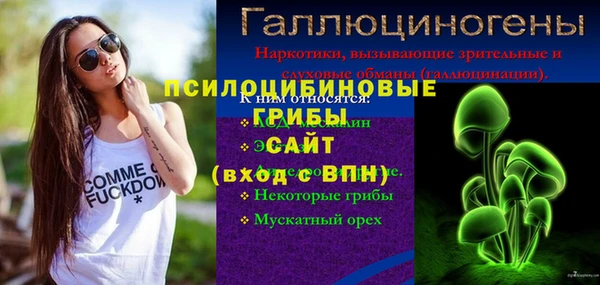 прущий лед Белокуриха
