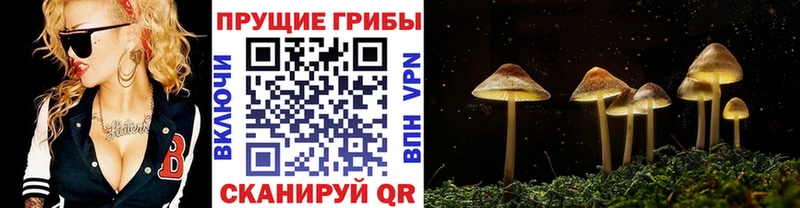 Галлюциногенные грибы Magic Shrooms  Нижнеудинск 